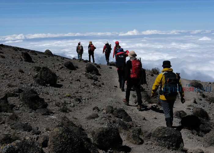 莱莫绍线攀登乞力马扎罗山