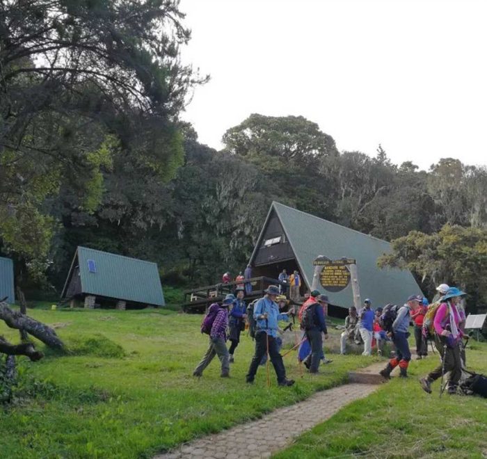 马兰古登乞力马扎罗山路线曼德拉营地