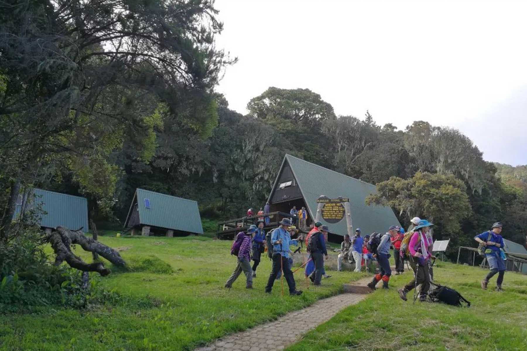 马兰古登乞力马扎罗山路线曼德拉营地